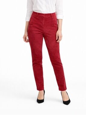 NWT Incotex Velvet Pants